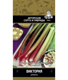 Ревень Виктория 1 г.