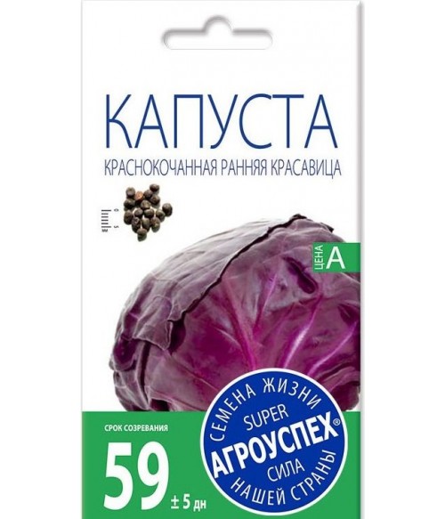 Капуста краснокочанная ранняя Красавица 0.3 г Капуста краснокочанная ранняя Красавица 0.3 г