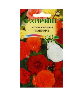 Бегония клубневая Попурри 5шт.