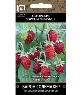 Земляника Барон Солемахер (ремонтантная) 100 шт.