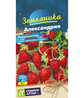 Земляника Александрия (ремонтантная) 0.05 г